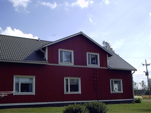 Koivula, kuva 5